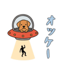 [オッケー専用]UFOで宇宙犬3（個別スタンプ：10）