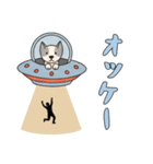 [オッケー専用]UFOで宇宙犬3（個別スタンプ：11）