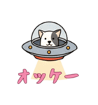 [オッケー専用]UFOで宇宙犬3（個別スタンプ：13）