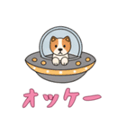 [オッケー専用]UFOで宇宙犬3（個別スタンプ：14）