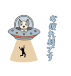 [お疲れ様です専用]UFOで宇宙犬3（個別スタンプ：1）