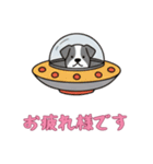 [お疲れ様です専用]UFOで宇宙犬3（個別スタンプ：2）