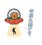 [お疲れ様です専用]UFOで宇宙犬3（個別スタンプ：9）