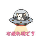 [お疲れ様です専用]UFOで宇宙犬3（個別スタンプ：14）