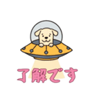 [了解です専用]UFOで宇宙犬3（個別スタンプ：1）