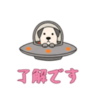 [了解です専用]UFOで宇宙犬3（個別スタンプ：2）