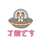 [了解です専用]UFOで宇宙犬3（個別スタンプ：3）