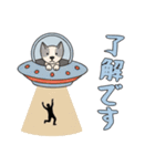 [了解です専用]UFOで宇宙犬3（個別スタンプ：4）