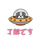 [了解です専用]UFOで宇宙犬3（個別スタンプ：5）