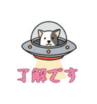 [了解です専用]UFOで宇宙犬3（個別スタンプ：9）