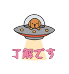 [了解です専用]UFOで宇宙犬3（個別スタンプ：10）