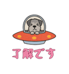 [了解です専用]UFOで宇宙犬3（個別スタンプ：14）