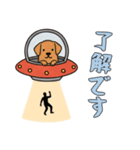 [了解です専用]UFOで宇宙犬3（個別スタンプ：15）