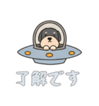 [了解です専用]UFOで宇宙犬2（個別スタンプ：6）