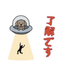 [了解です専用]UFOで宇宙犬2（個別スタンプ：10）