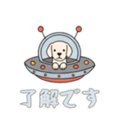 [了解です専用]UFOで宇宙犬2（個別スタンプ：11）