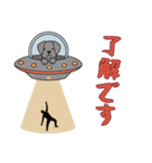 [了解です専用]UFOで宇宙犬2（個別スタンプ：15）