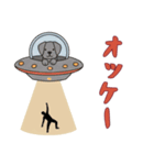[オッケー専用]UFOで宇宙犬2（個別スタンプ：3）