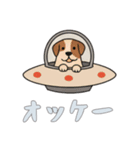 [オッケー専用]UFOで宇宙犬2（個別スタンプ：4）