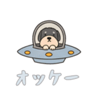 [オッケー専用]UFOで宇宙犬2（個別スタンプ：5）