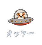 [オッケー専用]UFOで宇宙犬2（個別スタンプ：6）