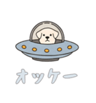 [オッケー専用]UFOで宇宙犬2（個別スタンプ：7）