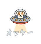 [オッケー専用]UFOで宇宙犬2（個別スタンプ：8）