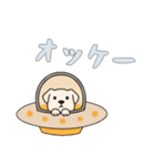 [オッケー専用]UFOで宇宙犬2（個別スタンプ：11）