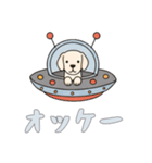 [オッケー専用]UFOで宇宙犬2（個別スタンプ：12）