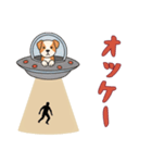 [オッケー専用]UFOで宇宙犬2（個別スタンプ：14）