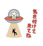 [気を付けて来てね専用]UFOで宇宙犬2（個別スタンプ：1）