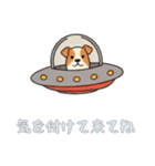 [気を付けて来てね専用]UFOで宇宙犬2（個別スタンプ：3）