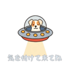 [気を付けて来てね専用]UFOで宇宙犬2（個別スタンプ：4）