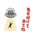 [気を付けて来てね専用]UFOで宇宙犬2（個別スタンプ：8）