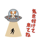 [気を付けて来てね専用]UFOで宇宙犬2（個別スタンプ：9）