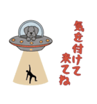 [気を付けて来てね専用]UFOで宇宙犬2（個別スタンプ：12）