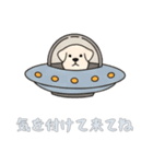 [気を付けて来てね専用]UFOで宇宙犬2（個別スタンプ：13）