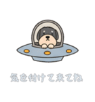 [気を付けて来てね専用]UFOで宇宙犬2（個別スタンプ：14）