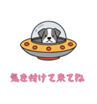[気を付けて来てね専用]UFOで宇宙犬3（個別スタンプ：1）