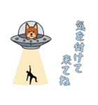 [気を付けて来てね専用]UFOで宇宙犬3（個別スタンプ：2）