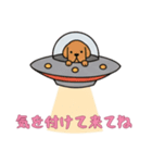 [気を付けて来てね専用]UFOで宇宙犬3（個別スタンプ：3）