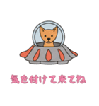 [気を付けて来てね専用]UFOで宇宙犬3（個別スタンプ：4）