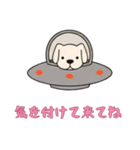 [気を付けて来てね専用]UFOで宇宙犬3（個別スタンプ：5）