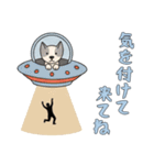 [気を付けて来てね専用]UFOで宇宙犬3（個別スタンプ：7）