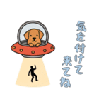 [気を付けて来てね専用]UFOで宇宙犬3（個別スタンプ：8）