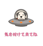 [気を付けて来てね専用]UFOで宇宙犬3（個別スタンプ：10）