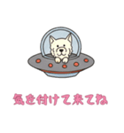 [気を付けて来てね専用]UFOで宇宙犬3（個別スタンプ：11）