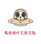 [気を付けて来てね専用]UFOで宇宙犬3（個別スタンプ：12）