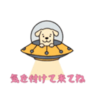 [気を付けて来てね専用]UFOで宇宙犬3（個別スタンプ：13）