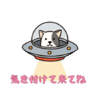 [気を付けて来てね専用]UFOで宇宙犬3（個別スタンプ：15）